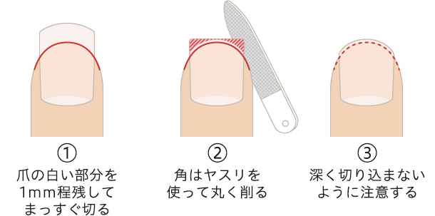 爪の切り方